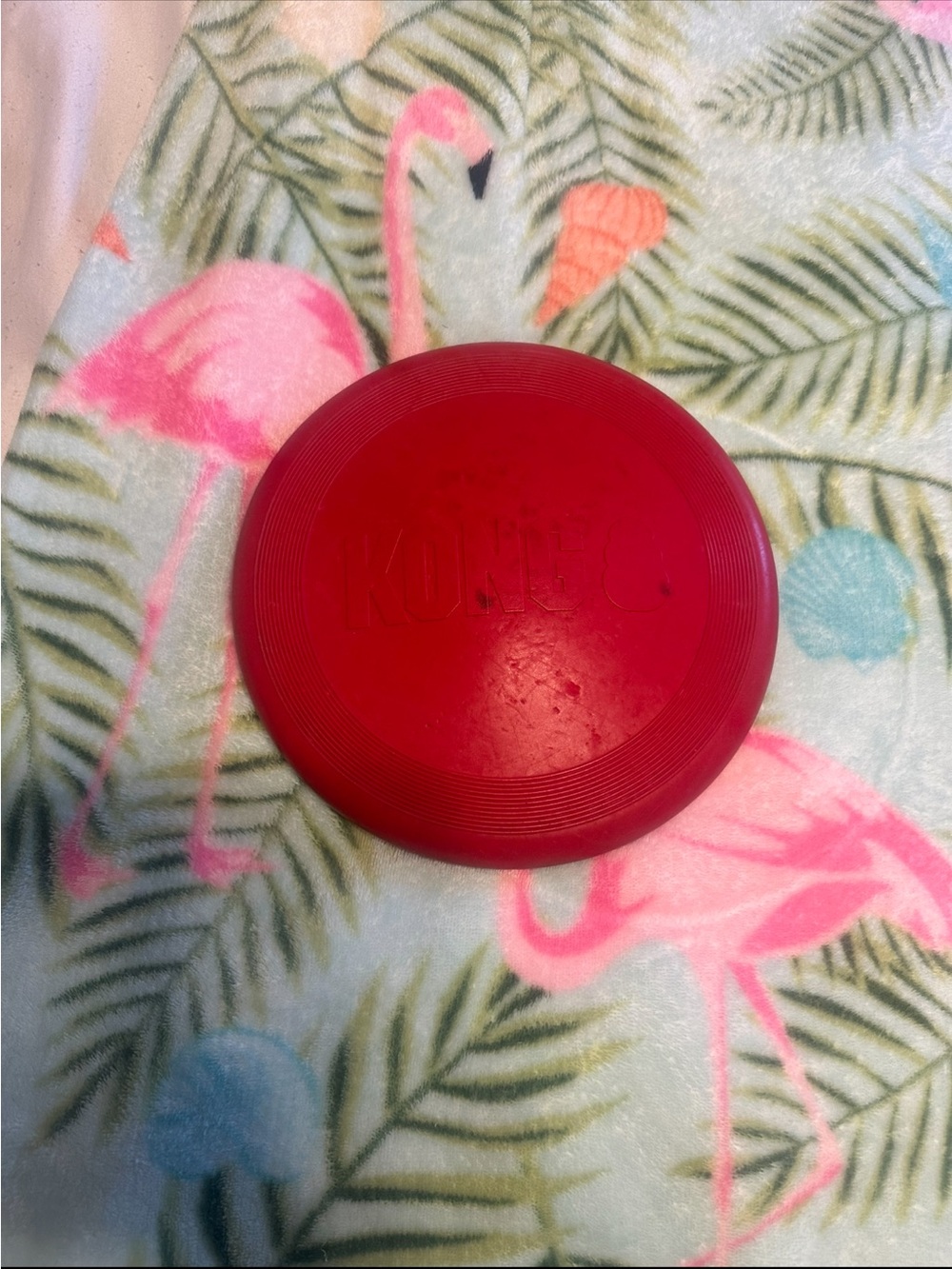 KONG Classic Red Dog Frisbee Flying Disc Fetch Toy Durable Rubber Used